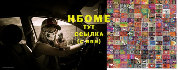 PSILOCYBIN Аркадак