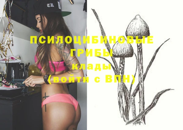 каннабис Арсеньев