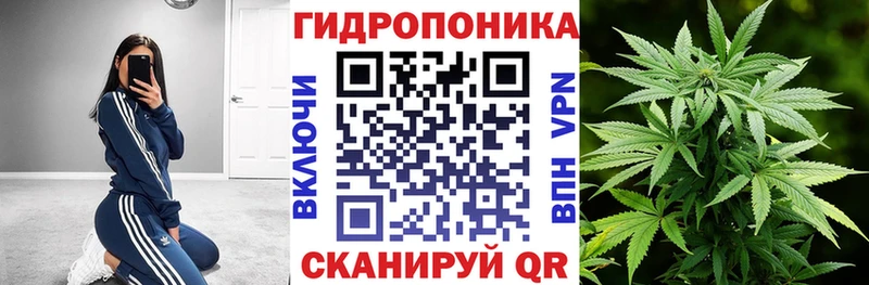 где найти наркотики  Дзержинск  Бошки Шишки семена 